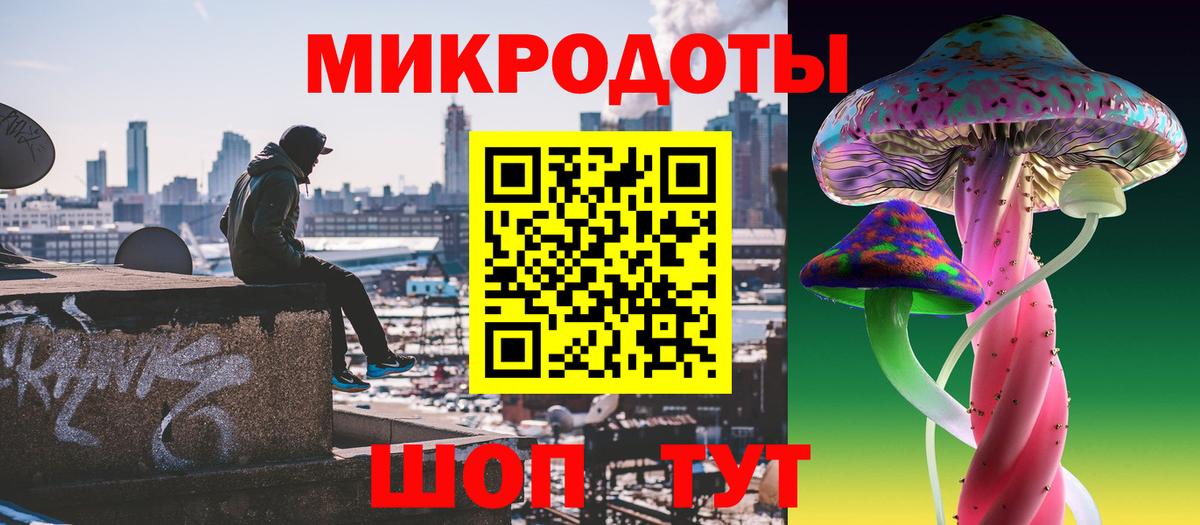 Галлюциногенные грибы Psilocybe Петропавловск-Камчатский