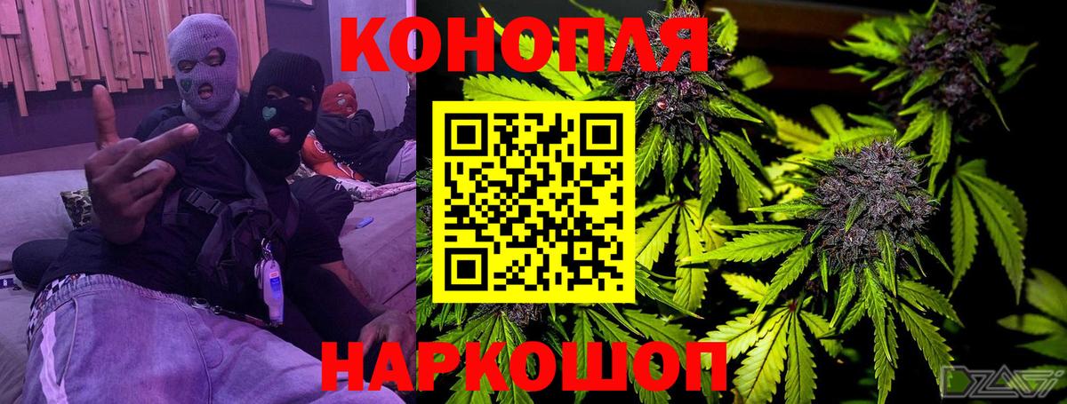 Бошки Шишки план  Вход с VPN  Бошки Шишки гибрид  Петропавловск-Камчатский 